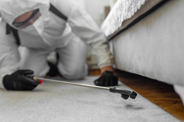 Professional Termite Control technician working in Marcus Hook, PA