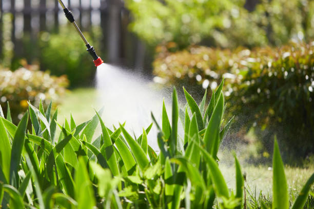 24/7 Emergency Termite Control experts in Marcus Hook, PA
