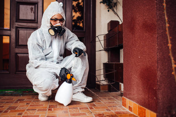 Reliable Termite Control contractor in Marcus Hook, PA by Nex Pest Control